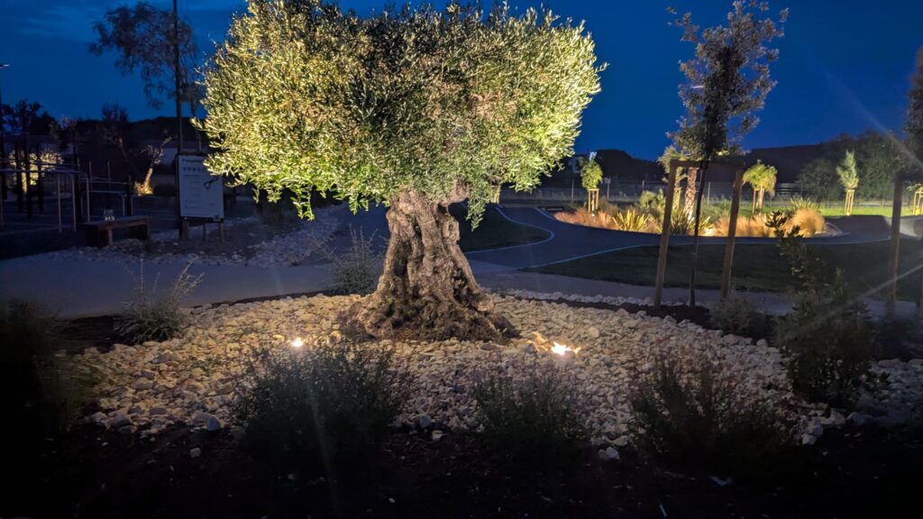 WhatsApp Image 2025-06-29 à 18.44.49_afbad598